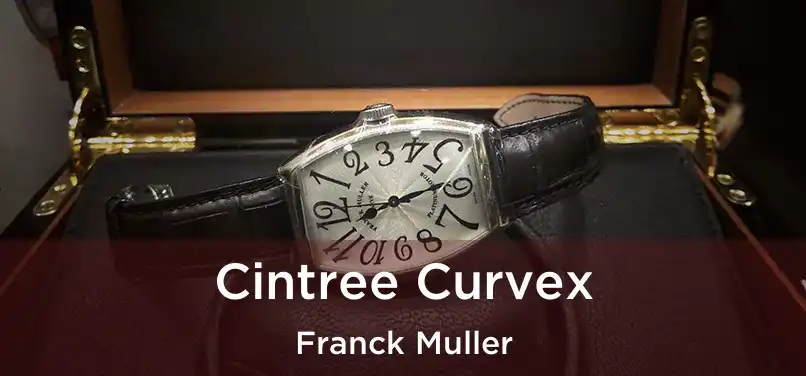  Cintree Curvex Franck Muller
