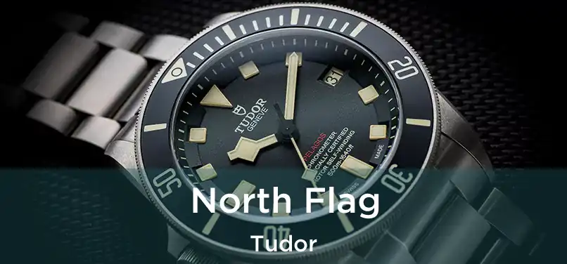  North Flag Tudor